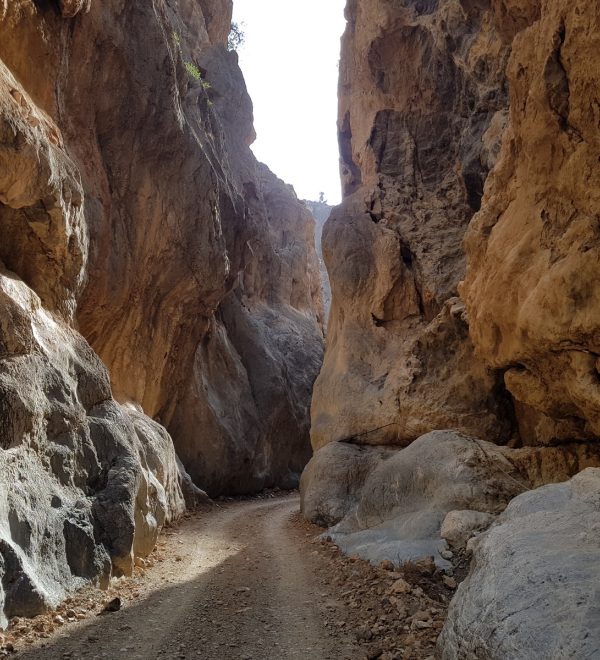 Excursions Crete Agiofarago 05